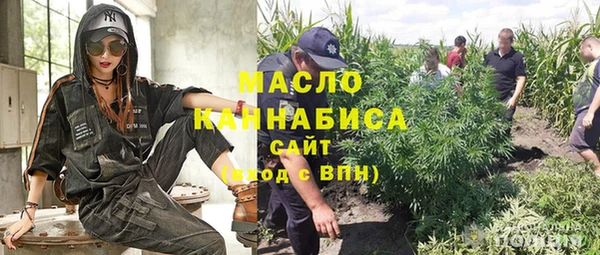 эйфоретик Вяземский