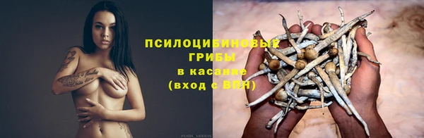 герыч Горняк